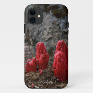 Snow Blossoms iPhone 11 Case