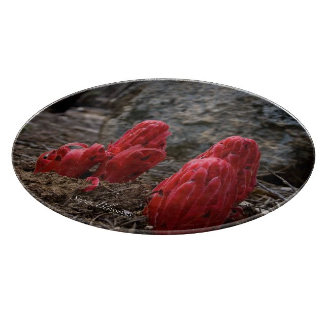 Snow Blossoms Cutting Board (Corner)