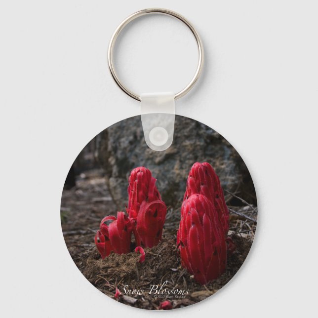 Snow Blossoms Key Chain (Front)