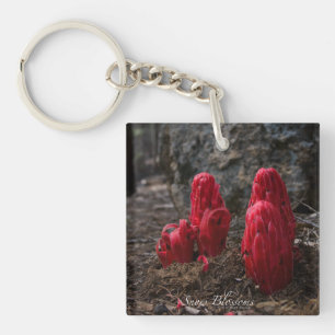 Snow Blossoms Key Ring