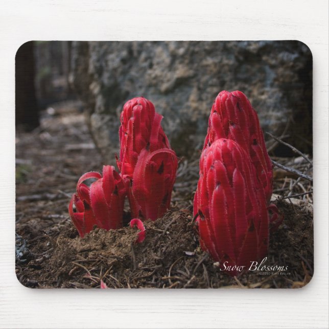 Snow Blossoms Mousepad (Front)