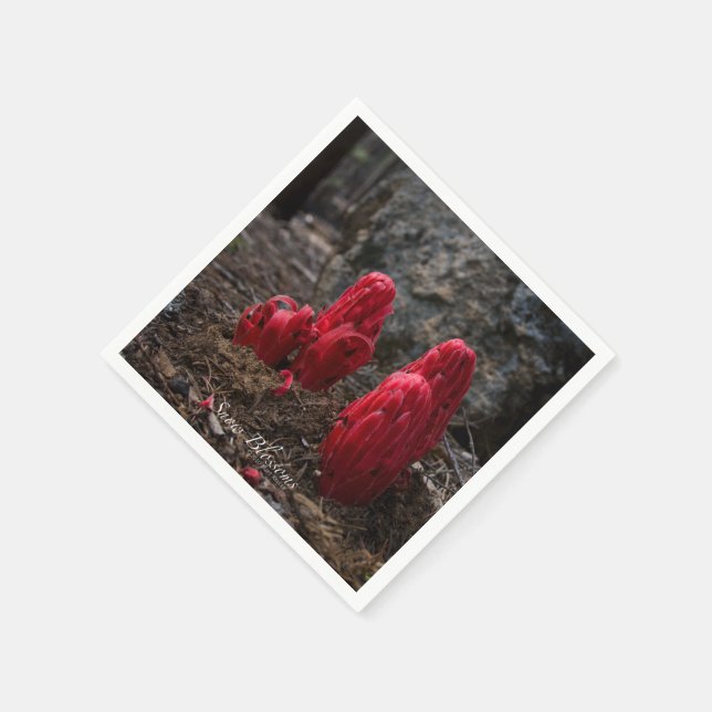 Snow Blossoms Napkin (Corner)