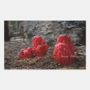 Snow Blossoms Rectangular Sticker