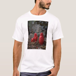 Snow Blossoms T-Shirt