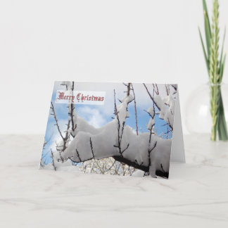 Snow Branch Christmas Card
