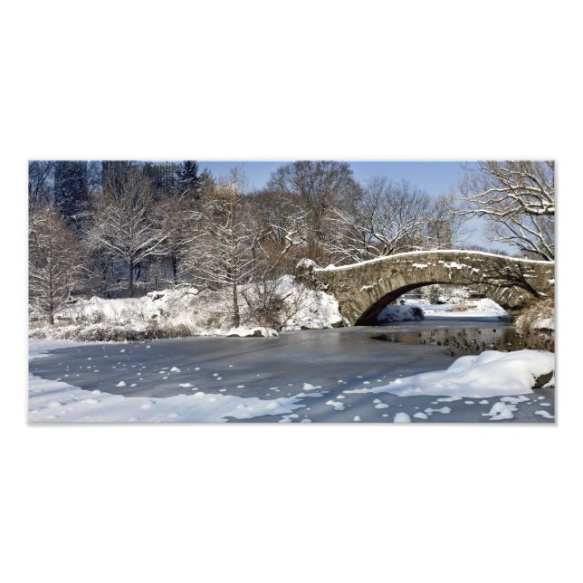 Snow Bridge and Ice Central Park Photo Print (Front)