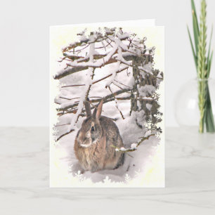 Snow Bunny Birthday Card