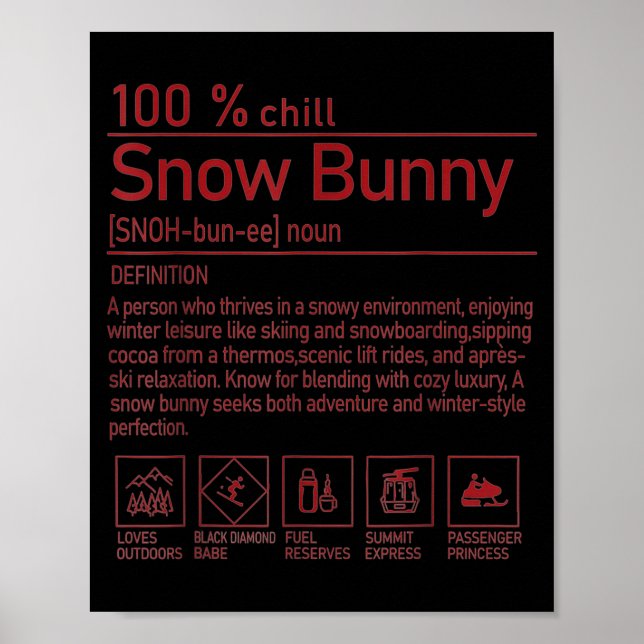 Snow Bunny Definition Funny Trendy Winter Skiing C Poster (Front)