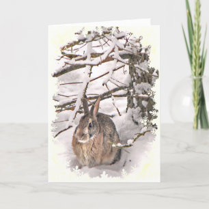 Snow Bunny Fathers Day Card
