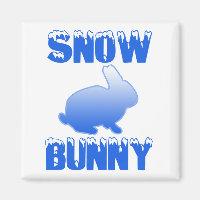 Snow Bunny
