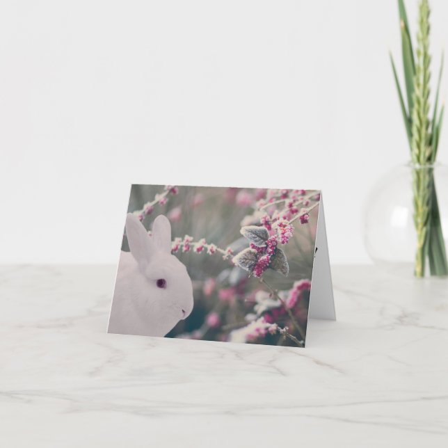 Snow Bunny with Frosted Berries Holiday Card (Front)