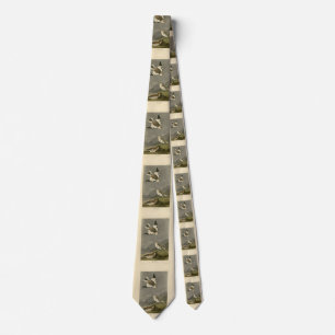 Snow Bunting John James Audubon's Birds of America Tie