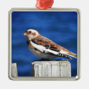 Snow Bunting Metal Ornament