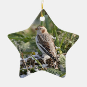Snow Bunting Ornament