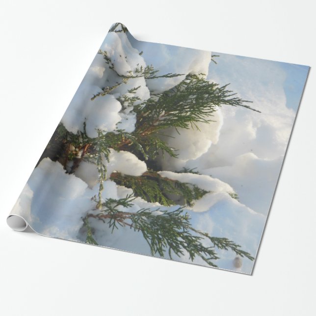 Snow Buried Evergreen Wrapping Paper (Unrolled)