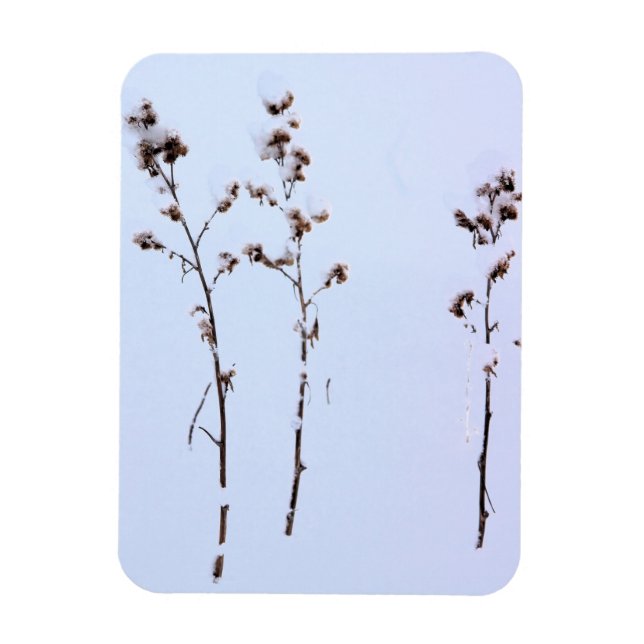 Snow Burrs Magnet (Vertical)
