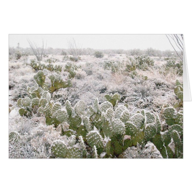 Snow Cactus (Front Horizontal)