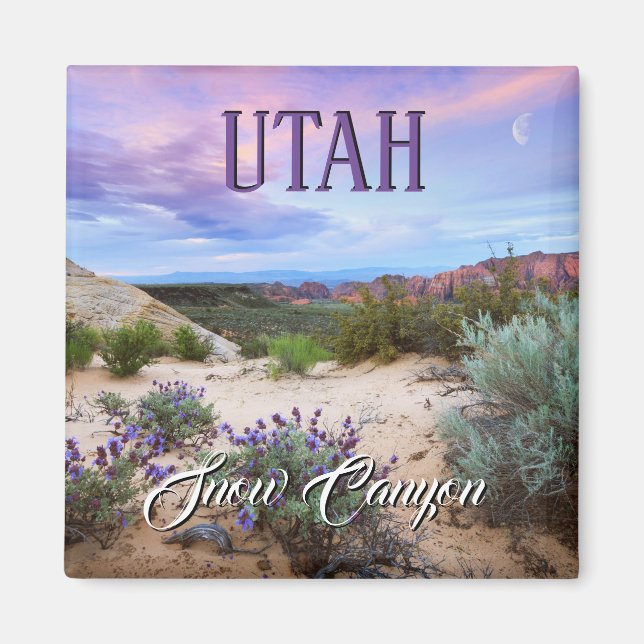 Snow Canyon Utah Magnet (Front)