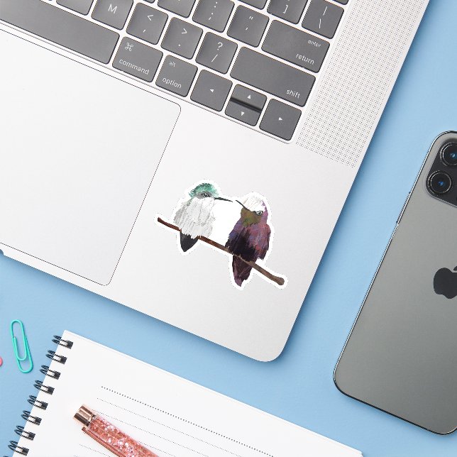 Snow Cap Hummingbirds (Laptop w/ iPhone)