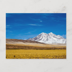 Snow - Capped Mountains And Puna Grassland Postcard