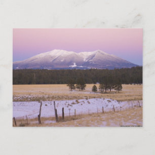 Snow Capped San Francisco Peaks at Sunset Postcard