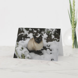 Snow Cat Card