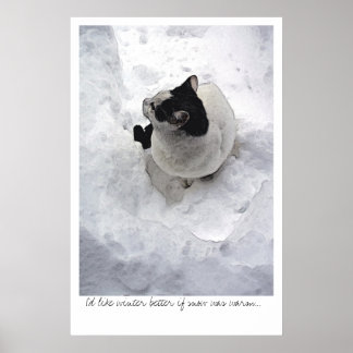 Snow Cat Poster