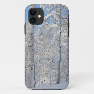Snow-Covered Aspens, Beartrap-Desolation Ridge iPhone 11 Case
