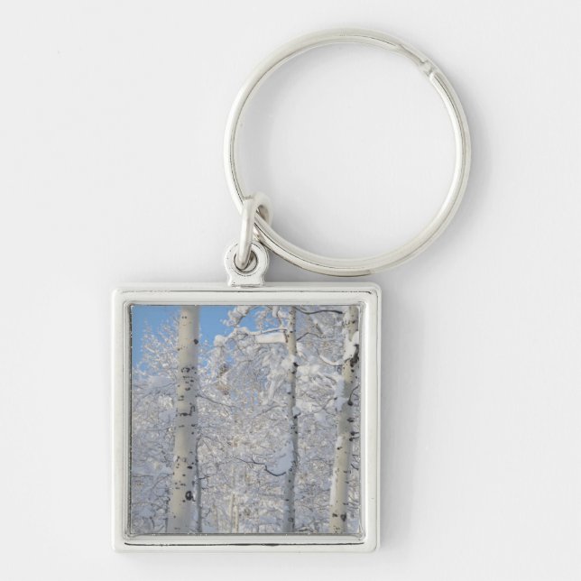 Snow-Covered Aspens, Beartrap-Desolation Ridge Key Ring (Front)