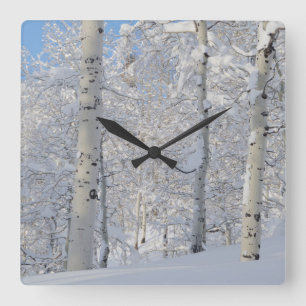 Snow-Covered Aspens, Beartrap-Desolation Ridge Square Wall Clock