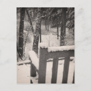 Snow Covered Benches Postcard