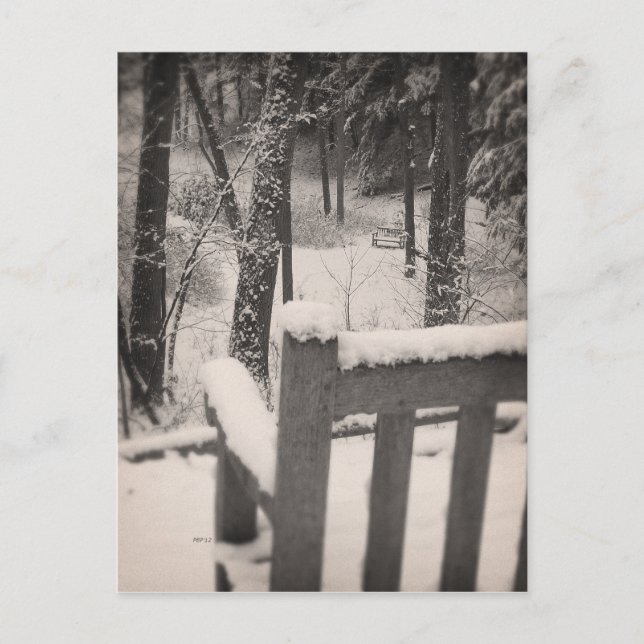 Snow Covered Benches Postcard (Front)