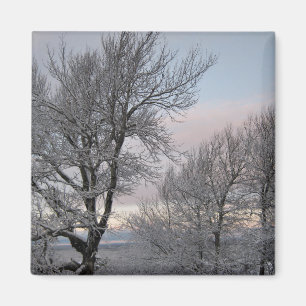 Snow Covered Branches Magnet