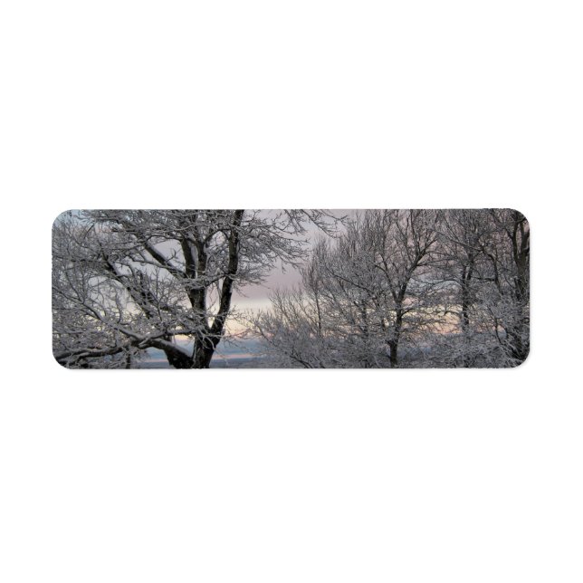 Snow Covered Branches Return Address Label (Front)
