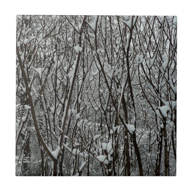 Snow Covered Branches Winter Abstract Ceramic Tile (Front)