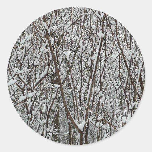 Snow Covered Branches Winter Abstract Classic Round Sticker (Front)