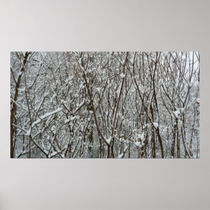 Snow Covered Branches Winter Abstract Poster