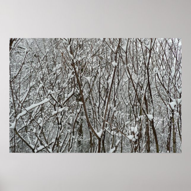 Snow Covered Branches Winter Abstract Poster (Front)