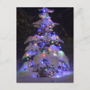 Snow Covered Brightly Lit Christmas Tree Holiday Postcard
