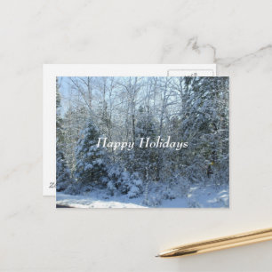 Snow Covered Christmas Tree Holiday Postcard