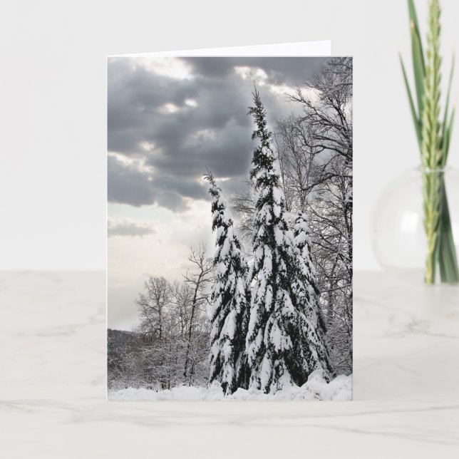 Snow-Covered Evergreen Trees Under Dramatic Winter Card (Front)
