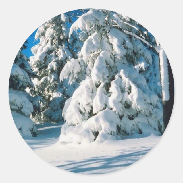 Snow Covered Evergreens Classic Round Sticker (Front)