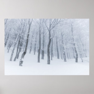 Snow covered frozen forest in winter poster