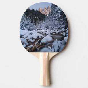 Snow-covered Geisler Mountain Range Ping Pong Paddle