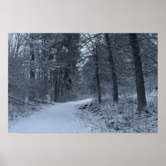 Snow Covered Hiking Trail 1 Poster