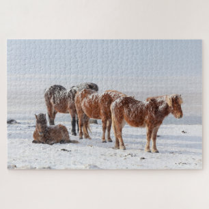 Snow Covered Icelandic Horses Jigsaw Puzzle