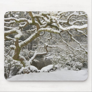 Snow-covered Japanese maple 2 Mouse Pad