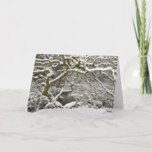 Snow-covered Japanese maple Card