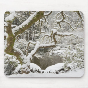Snow-covered Japanese maple Mouse Pad