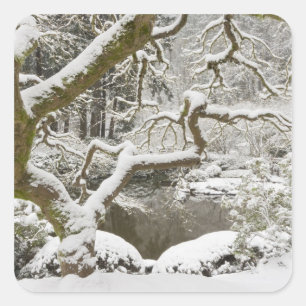 Snow-covered Japanese maple Square Sticker